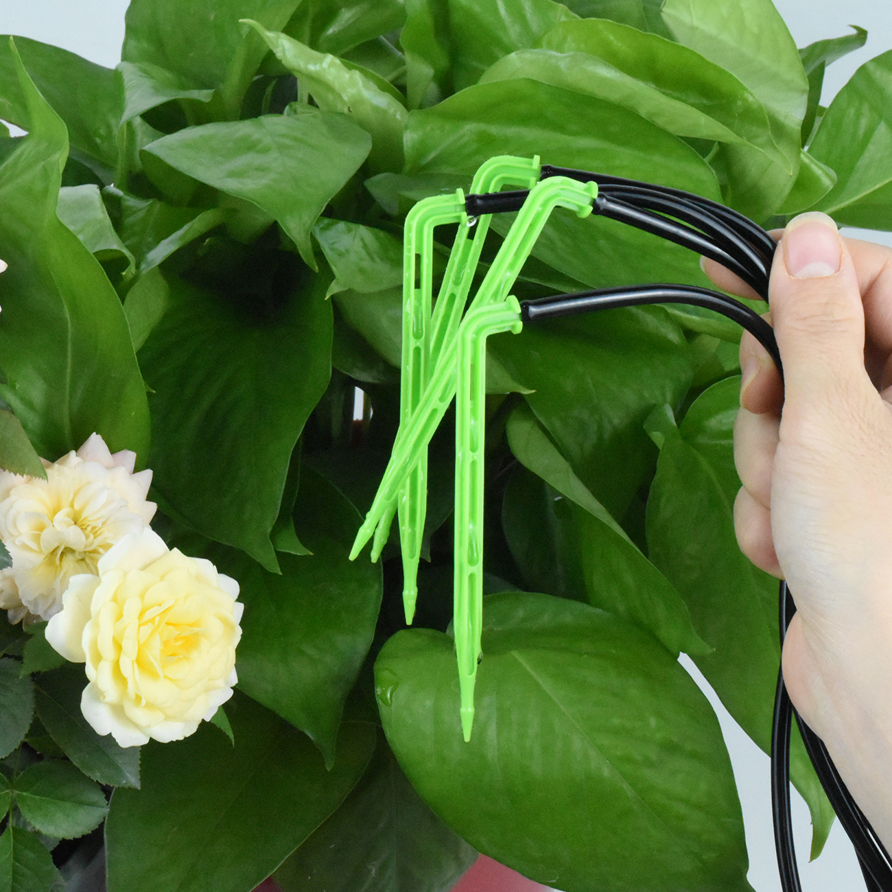 KESLA Garden 4/7mm to 3/5mm Ho - Smart Urban Garden reseña y precio