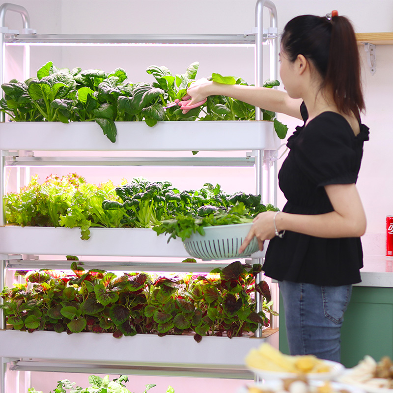Smart Indoor Garden Hydroponic - Smart Garden Stackable Planters reseña y precio