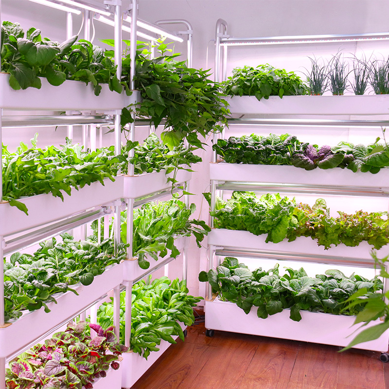 Smart Indoor Garden Hydroponic - Smart Garden Stackable Planters reseña y precio