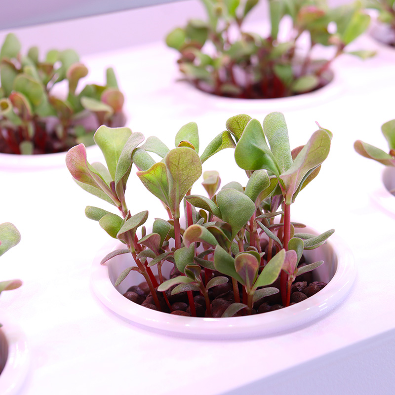 Smart Indoor Garden Hydroponic - Smart Garden Stackable Planters reseña y precio