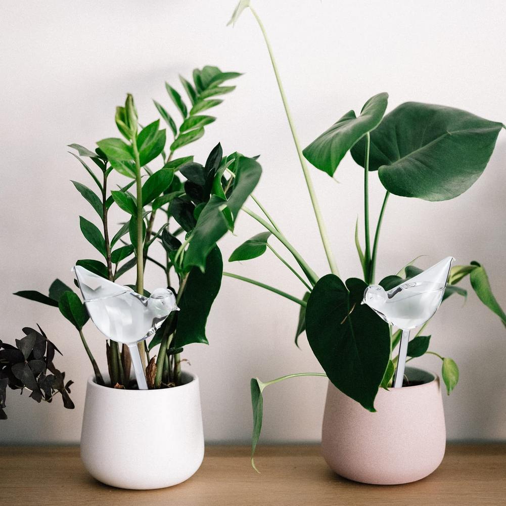 Automatic Plant Watering Bulbs - Yoocaa Smart Garden reseña y precio