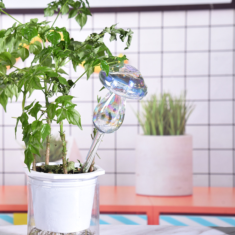 1/2PCS Glass Straw Automatic P - Yoocaa Smart Garden reseña y precio