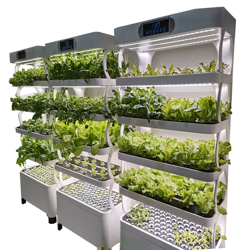 Indoor Smart Low Cost Hydropon - Smart Garden Indoor reseña y precio
