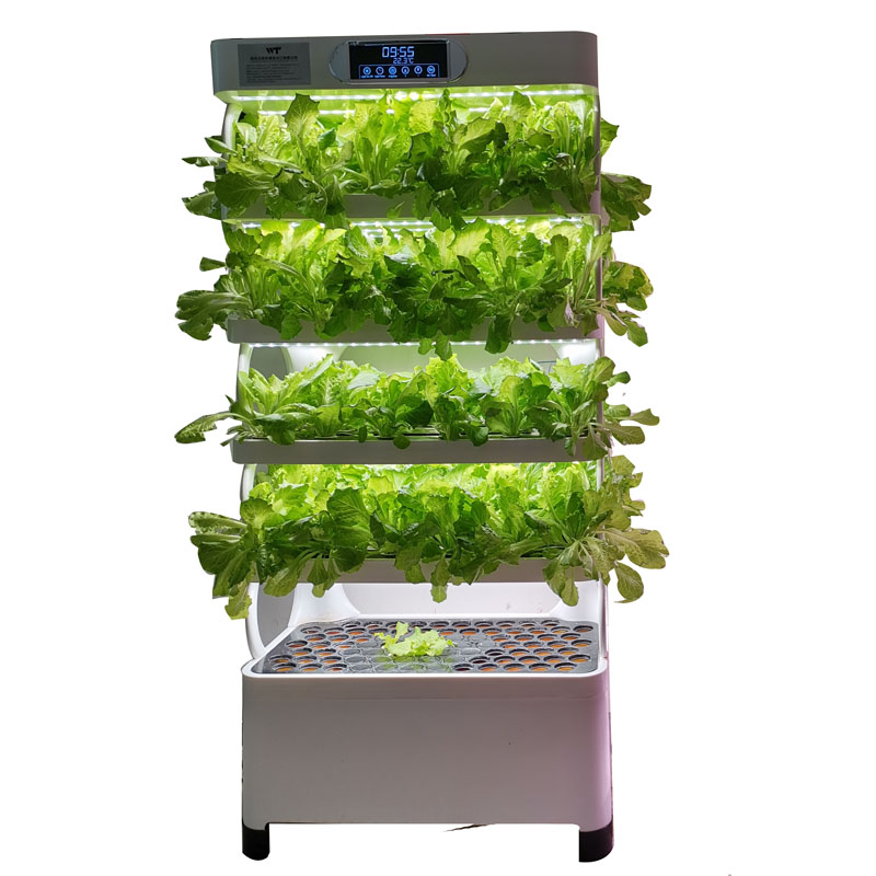 Indoor Smart Low Cost Hydropon - Smart Garden Indoor reseña y precio
