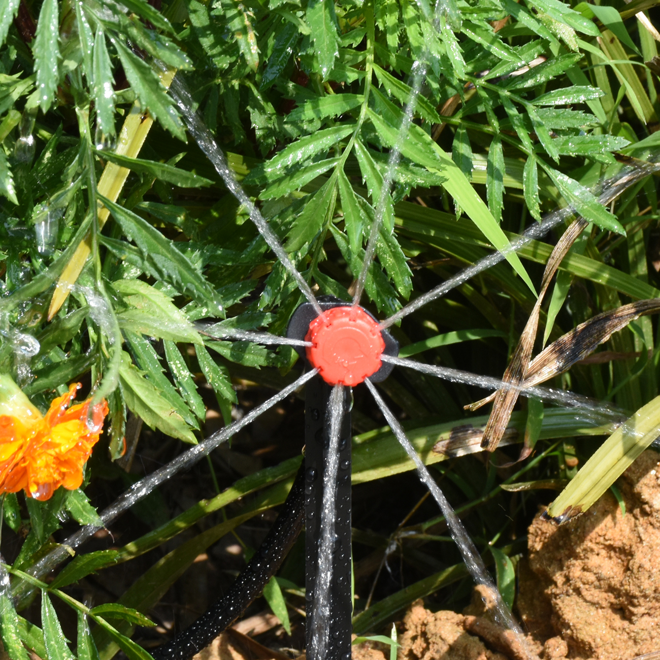 KESLA 5M-30M Misting Nozzles I - Smart Garden Hose reseña y precio
