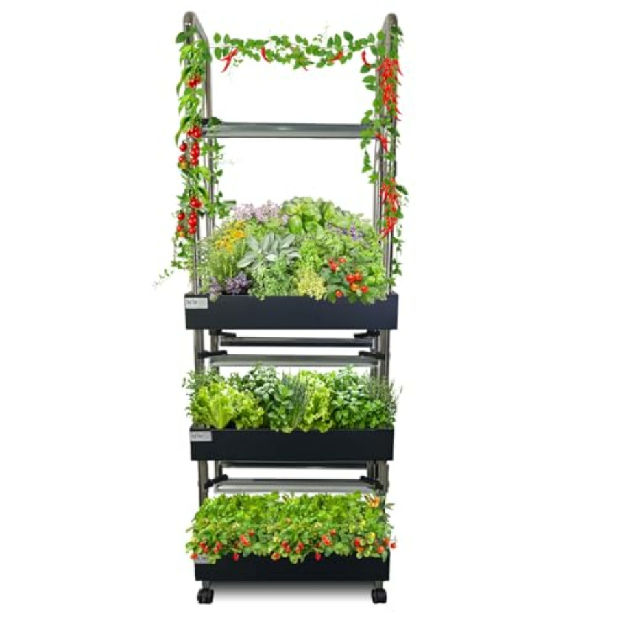 Indoor hydroponics growing sys - Smart Garden Indoor reseña y precio
