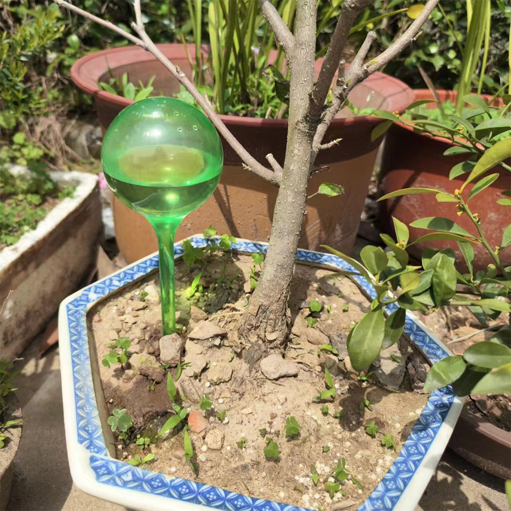 Automatic Plant Watering Bulbs - Yoocaa Smart Garden reseña y precio