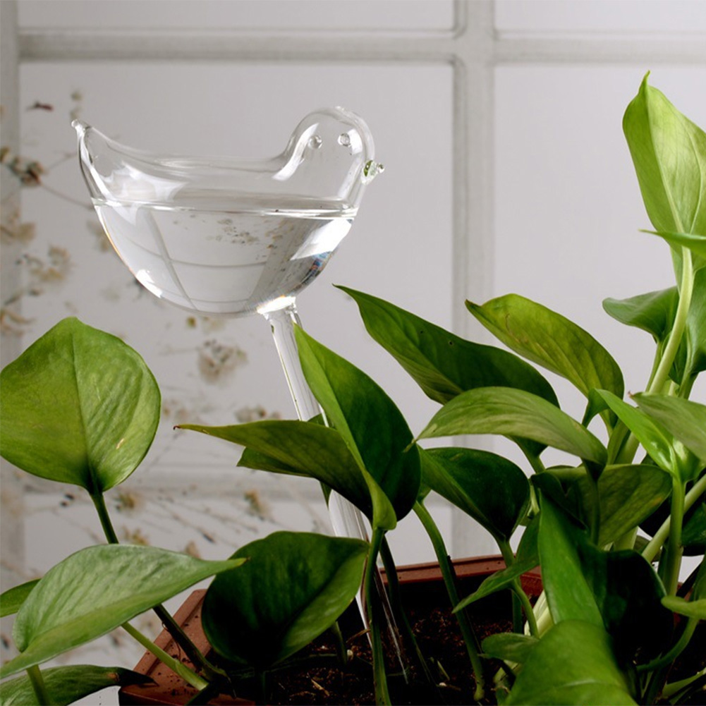 Automatic Plant Watering Bulbs - Yoocaa Smart Garden reseña y precio