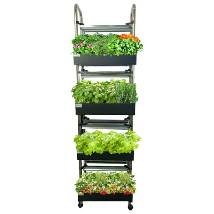 Indoor hydroponics growing sys - Smart Garden Indoor reseña y precio
