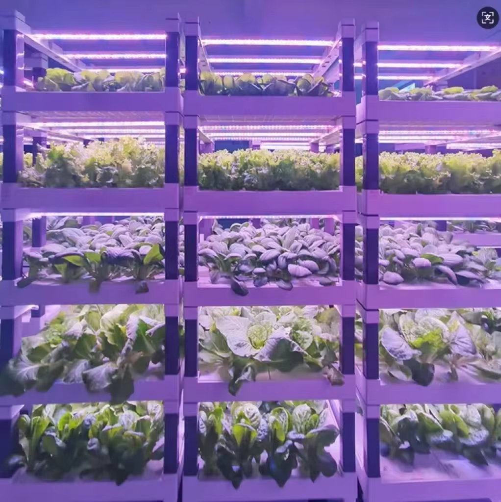 Hydroponic Grow System Greenho - Smart Garden Indoor reseña y precio