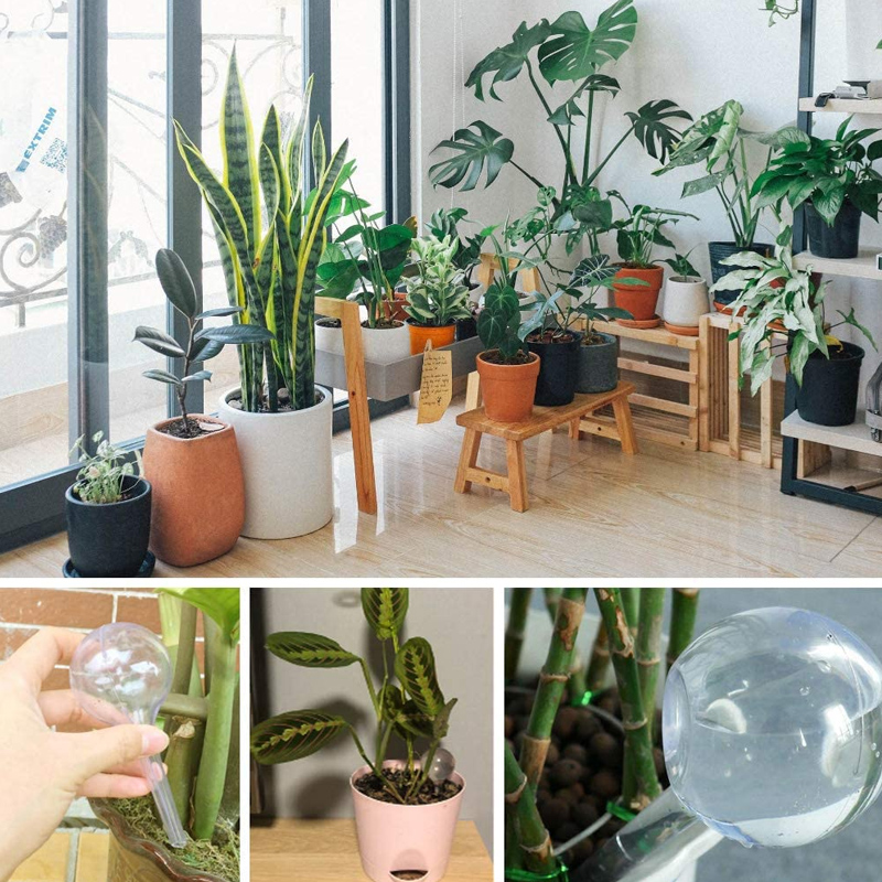 5/10PCS Automatic Plant Wateri - Yoocaa Smart Garden reseña y precio